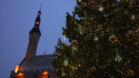 Christmas market at the Town Hall Square in Old Tallinn. Vídeos de archivo 295192853