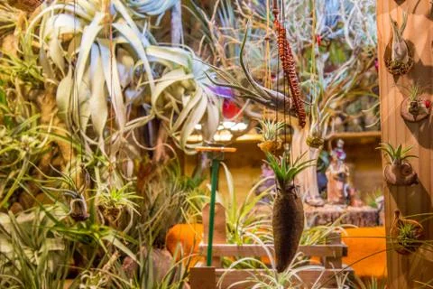 Christmas markets decorated with objects  Stock Photos