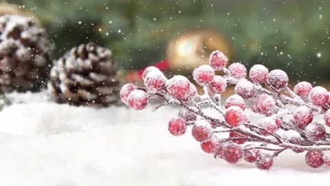 Christmas Mistletoe Branch Video stock 163742981