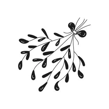 Christmas mistletoe in doodle style Stock Illustration