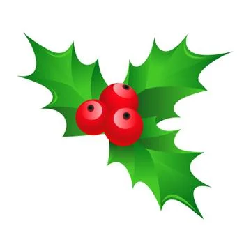 Christmas mistletoe Stock-Illustration
