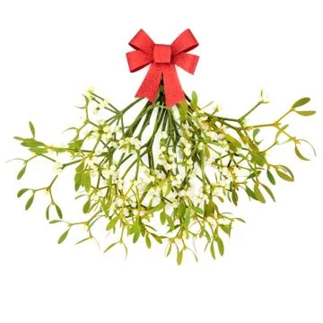 Christmas Mistletoe Stock Photos
