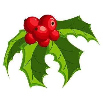 Christmas mistletoe vector illustration. Stock Illustration