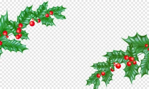 Christmas New Year greeting card background template tree branch holly wreath Stock Illustration