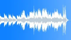 Christmas In New YorkStock Music