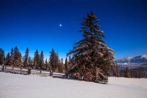 Christmas night Foto stock