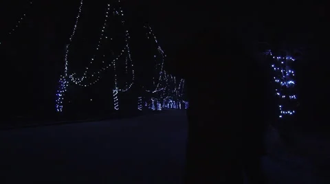 Christmas Night Walking 库存影片 1039374