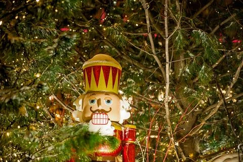 Christmas nutcracker with Christmas tree in background Stock Photos