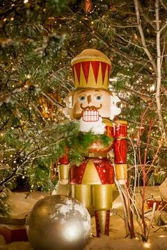 Christmas nutcracker with Christmas tree in background Stock Photos