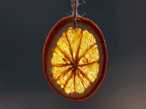 Christmas orange slice in backlight Stock Footage 83462772