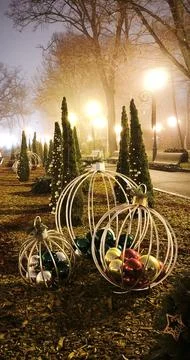Christmas ornaments in metallic frames placed along park path with trees de.. Stock Photos