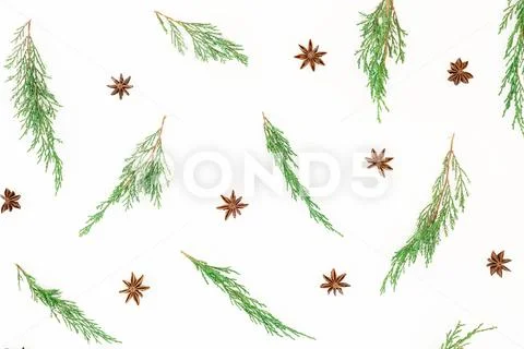 Christmas pattern of every green branches and anise on white background. New Stock-Fotos