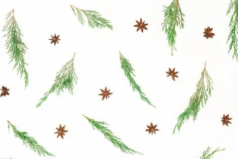 Christmas pattern of every green branches and anise on white background. New  Stock Photos