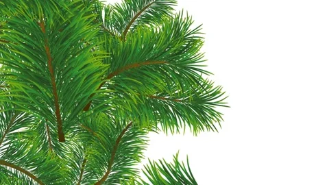 Christmas pattern with falling fir branches that fill the background. Animate Stock Footage 220765110