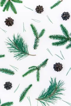 Christmas pattern with fir tree pine branches Stock Photos
