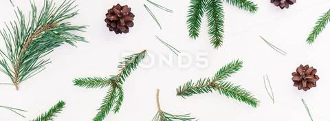 Christmas pattern with fir tree pine branches Stock Photos