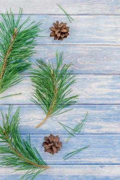 Christmas pattern with fir tree pine branches Stock Photos