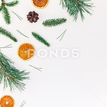 Christmas pattern with fir tree pine branches Stock Photos