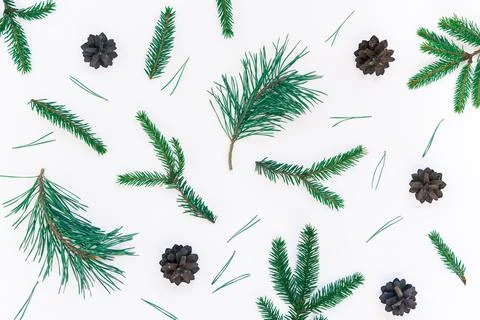 Christmas pattern with fir tree pine branches Stock Photos