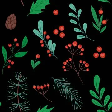 Christmas pattern. Holiday winter plants. Red flower. Branch and berry. Flora Stock Illustration