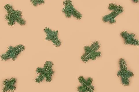 Christmas pattern made of fir branches on beige background Stock Photos
