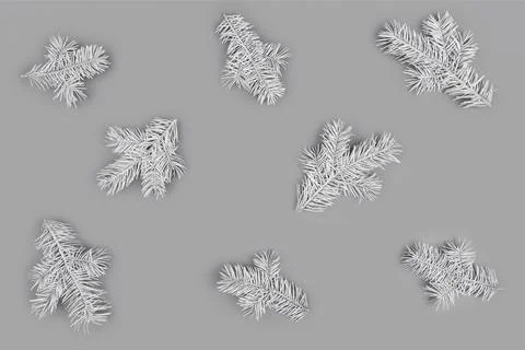 Christmas pattern made of light gray fir branches on gray background Stock Photos