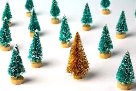 Christmas pattern made with pine trees. Stock Photos