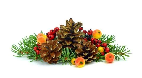 Christmas pattern with natural elements. Isolated. Berries and fir tree. Stock Photos