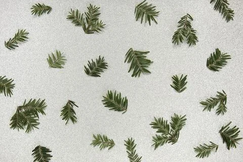 Christmas pattern, winter background. Green pine twigs on silver, glitter Stock Photos