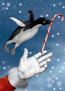 Christmas penguin Stock Illustration