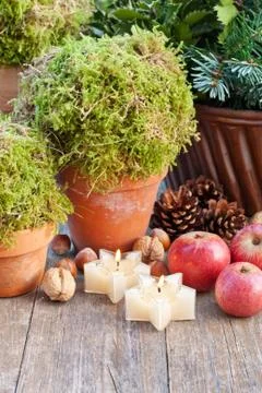 Christmas Stock Photos