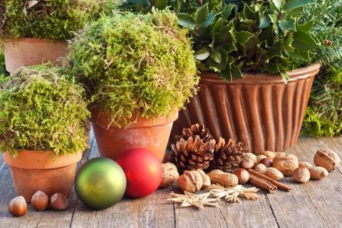 Christmas Stock Photos