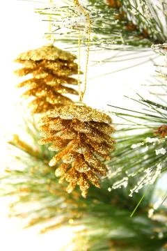 Christmas Stock Photos