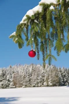 Christmas Stock Photos