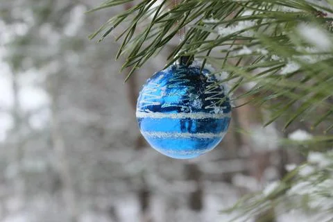 Christmas Stock Photos