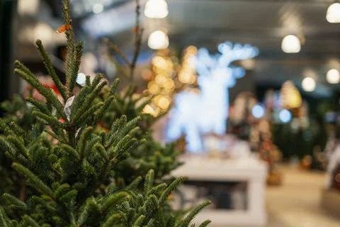 Christmas Stock Photos