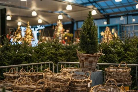 Christmas Stock Photos