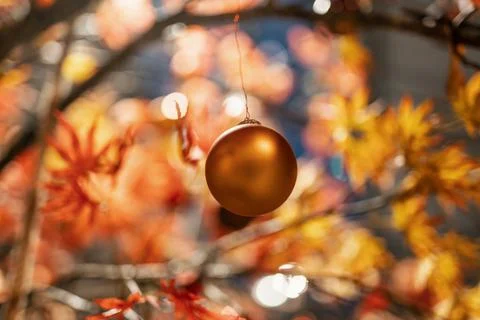 Christmas Stock Photos