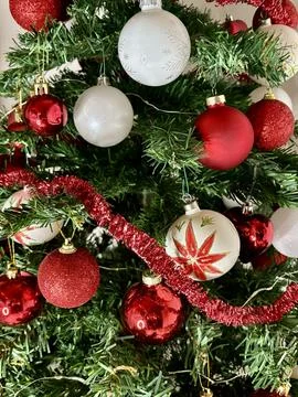 Christmas Stock Photos