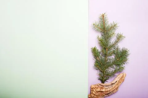 Christmas pine branches with red decor on olive background, xmas concept Stock Photos