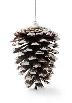 Christmas pine cone Stock Photos
