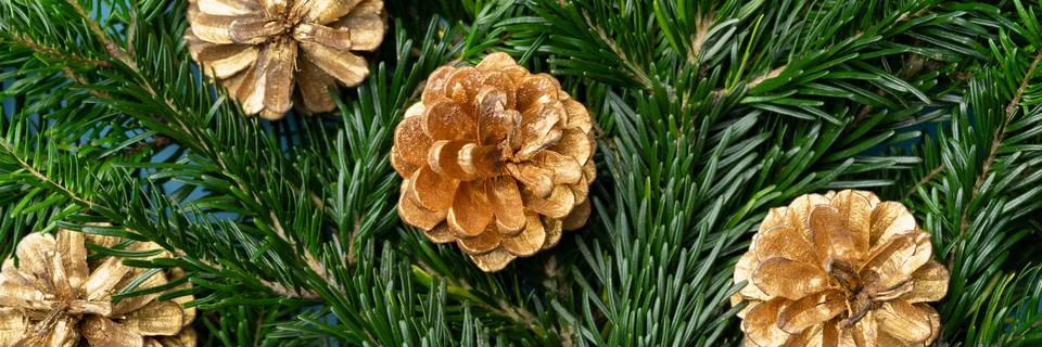 Christmas pine cones pattern banner festive Stock Photos