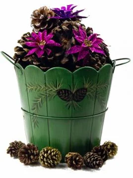 Christmas pine cones Stock Photos