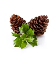 Christmas pine cones Stock Photos