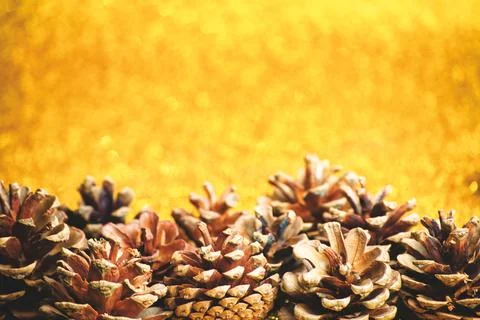 Christmas Pine Cones Stock Photos
