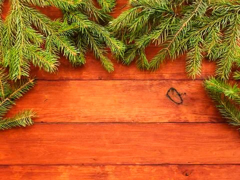 Christmas pine tree background Stock Photos