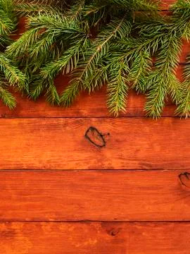 Christmas pine tree background Stock Photos