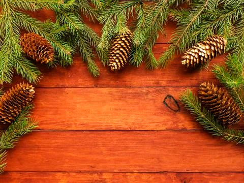 Christmas pine tree background Stock Photos