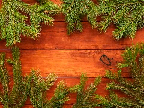 Christmas pine tree background Stock Photos
