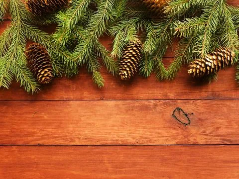 Christmas pine tree background Stock Photos